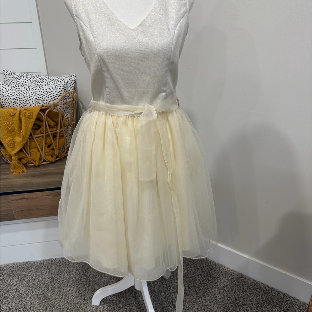 Bohme Cream Tulle Mini Dress
